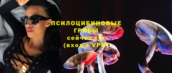 твердый Абинск