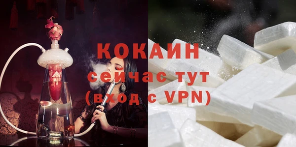 соль ск Абаза