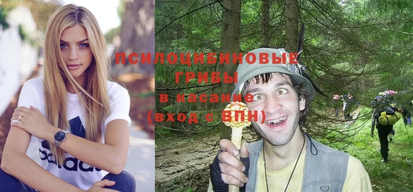 твердый Абинск