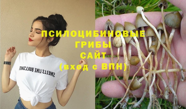 сатива Алзамай