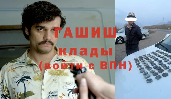 соль ск Абаза