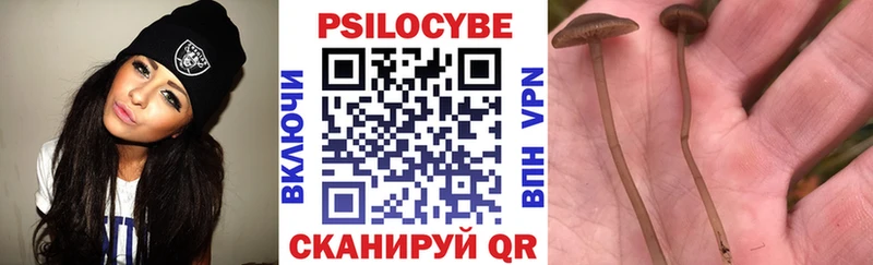 Псилоцибиновые грибы прущие грибы  Югорск 